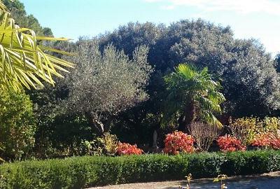 Carcasssonne (15 mn) - Gîte de 100M2, piscine sécurisée, Pool house ,