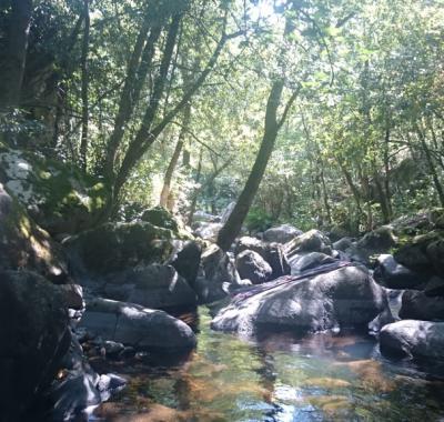 Carcasssonne (15 mn) - Gîte de 100M2, piscine sécurisée, Pool house ,