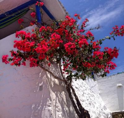 Casa KoKopelli - bungalow