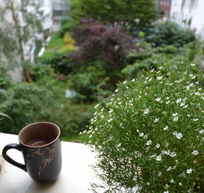 Une chambre a louer dans un appartement cool!