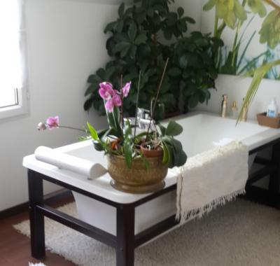 2 chambres à louer dans maison au centre-ville.