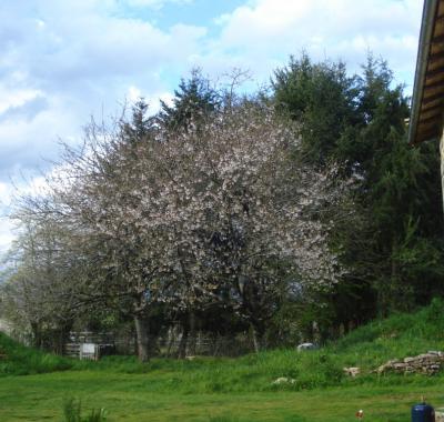 Maison de campagne  atypique "loft"
