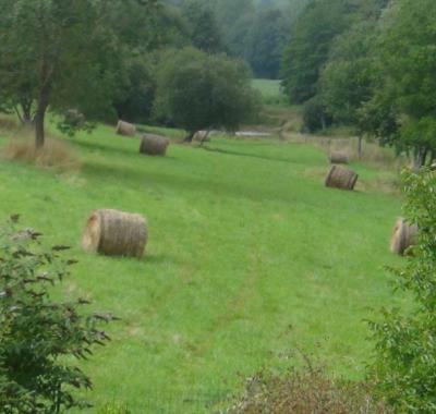 Chambre chez l'habitant