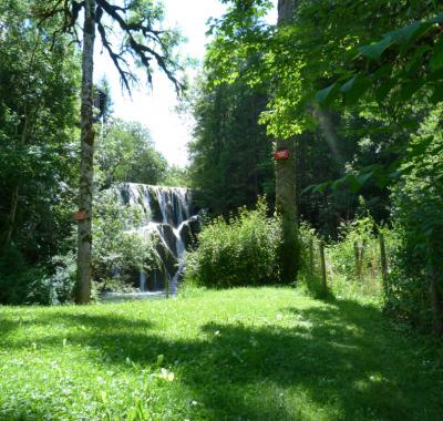 Gîte de l'Orchidée Bleue