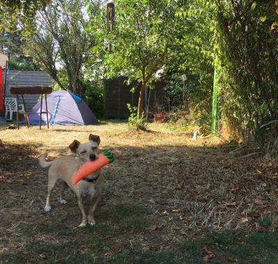 Chambre chez l'habitant à Montravers, chez Sylvie