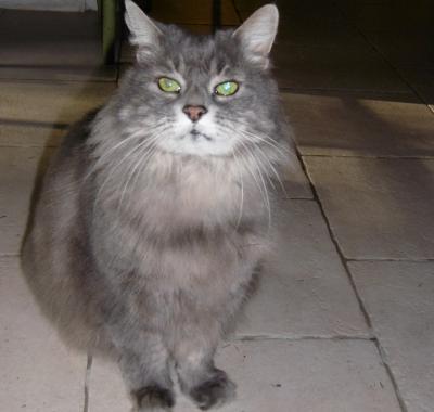 Jolie chambre dans appartement familial