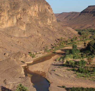 Chambres d’hôte au sein de L'oasis de Fint