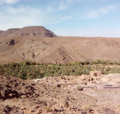 Chambres d’hôte au sein de L'oasis de Fint