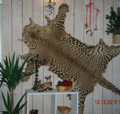 Chambre chez l'habitant