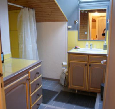 Chambre + sdb à louer