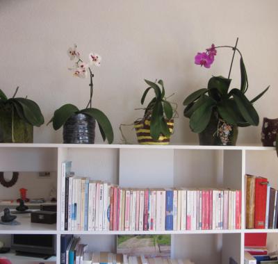 Chambre à louer proche de l'EPFL, à 5 minutes en train de Lausanne