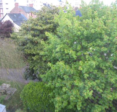 Chambre a louer à Rennes