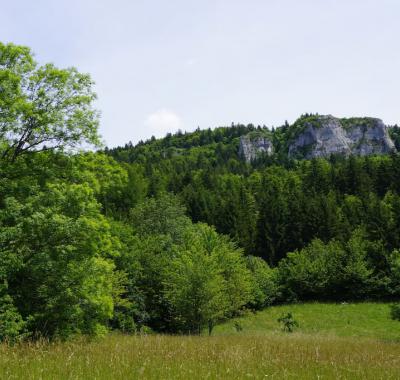 Chambre dans chalet nature Vercors