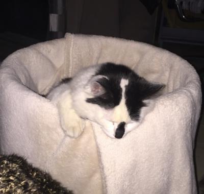 Chambres à louer au coeur de l'Inovallée.