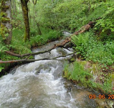 Chambre d'Hôtes à St Léons sur le Lévézou