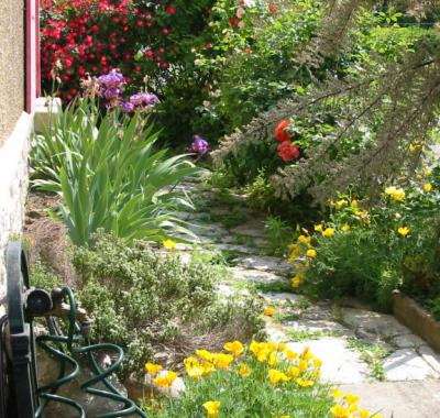 Chambre calme - Maison centre-ville- parking gratuit