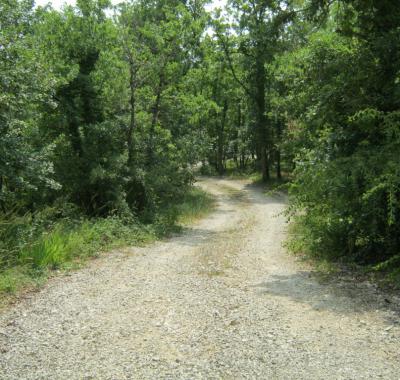 Chalet dans les bois du Quercy..