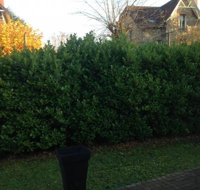 Chambre chez hôte  Proche Paris