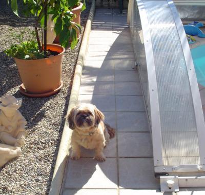 Colocation dans une maison avec piscine et veranda