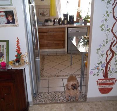 Colocation dans une maison avec piscine et veranda