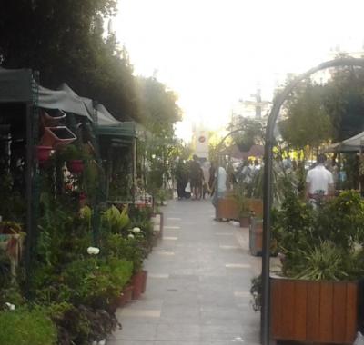 Appartement Haut Standing 110 m² Alger centre