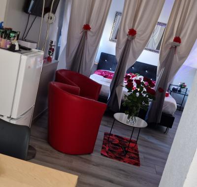 Studio a louer en suisse
