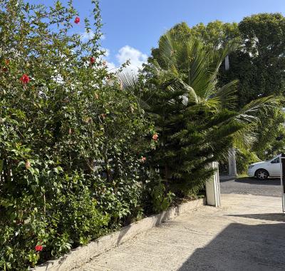 Jolie chambre dans le centre du Gosier