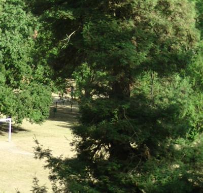 Chambre à louer Talence