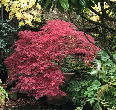 Chambre indépendante dans dépendances