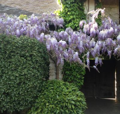 Chambre indépendante dans dépendances