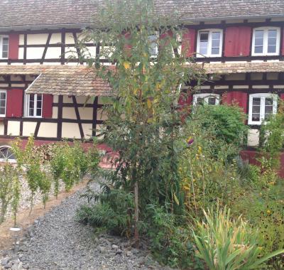 Chambre avec sa sdb privative et dressing