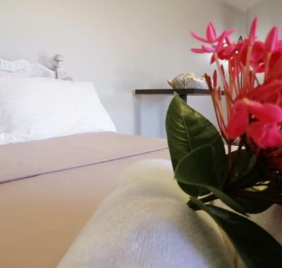 Ch. Emma: Prix attractif - Flic en Flac-Bambous