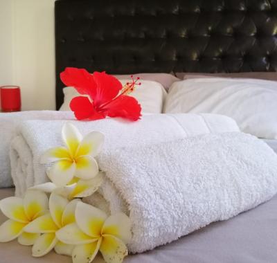 Ch. Fanja: Spacieuse - Flic en Flac-Bambous