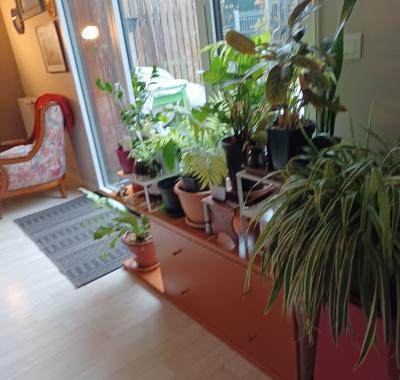 Deux chambres chez l'habitant en semaine