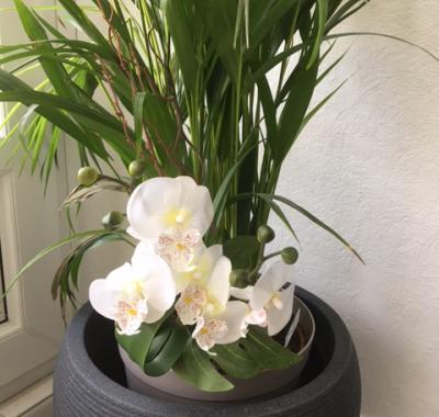 Chambre en coloc : Les Ecureuils proche de Grenoble