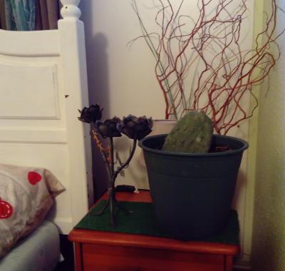 Chambre proche IFSI et université de Jacob bien desservi