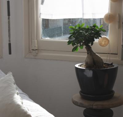 Chambre à louer à Aix-en-Provence