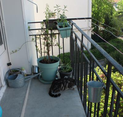 Chambre à louer à Aix-en-Provence