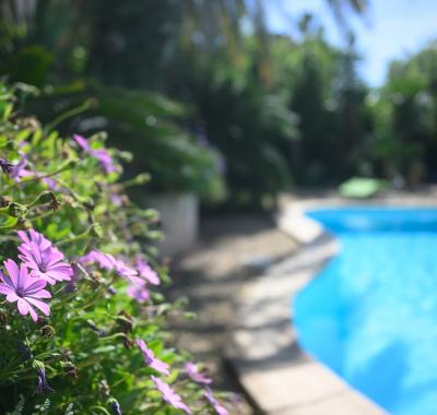 Chambres à louer à beziers dans maison avec piscine