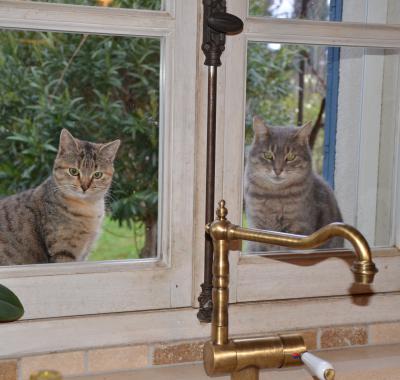 Charmant séjour en campagne de St Rémy