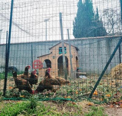 Chambre à St Estève