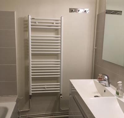 Chambre et sdb à louer Lyon 6ème