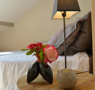 Mas de charme piscine nature IDEAL FESTIVAL