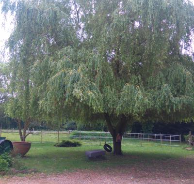 Chambres 24 heures du Mans