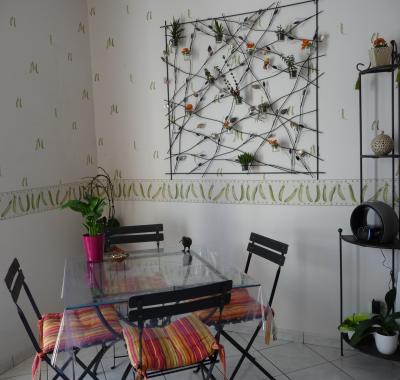 Chambre paisible pour filles dans la ville rose