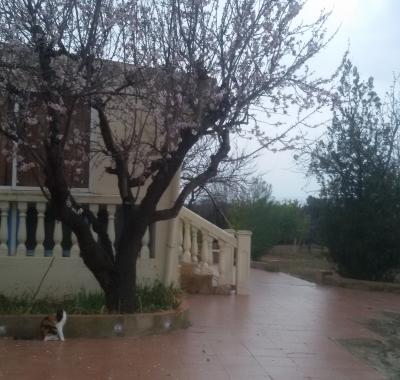 Maison rurale + 3 cabanes en bois,piscine,sauna,jaccuzzi,salle de jeux