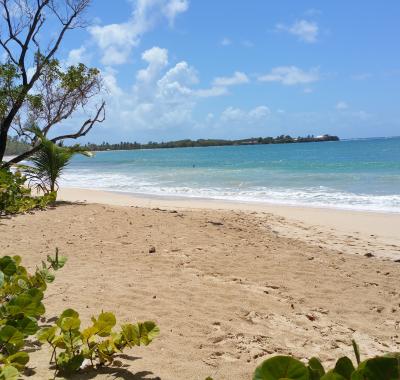 Chambre individuelle