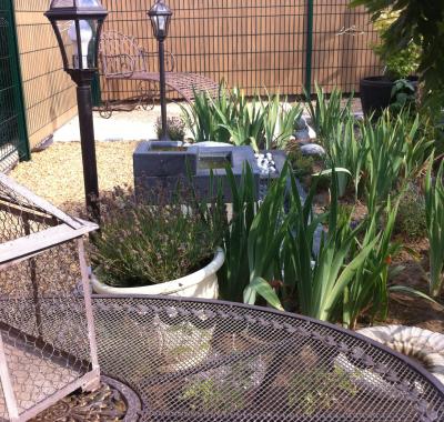 Chambre chez l'habitant