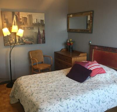 Chambre spacieuse à villeurbanne