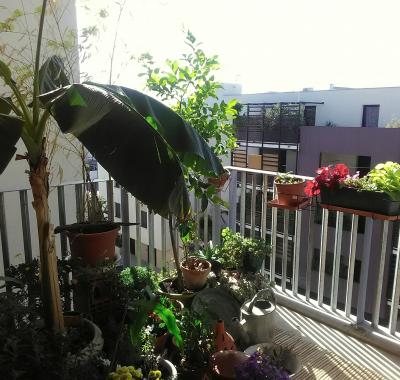 Chambre à louer à 5km de Montpellier